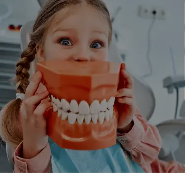 Girl holding dental model at pediatric dentist